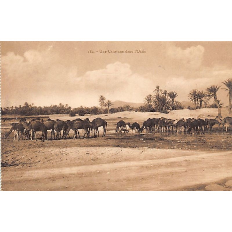 Rare collectable postcards of Tunisia. Vintage Postcards of Tunisia