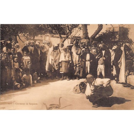 Rare collectable postcards of Tunisia. Vintage Postcards of Tunisia