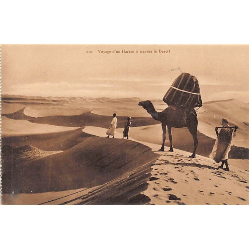 Rare collectable postcards of Tunisia. Vintage Postcards of Tunisia