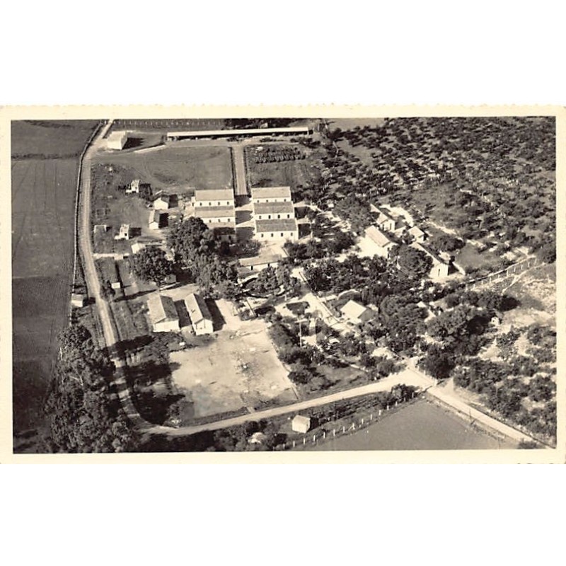 Rare collectable postcards of Tunisia. Vintage Postcards of Tunisia