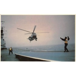 Rare collectable postcards of Falklands Islands. Vintage Postcards of Falklands Islands