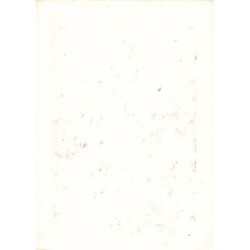 Rare collectable postcards of JUDAICA. Vintage Postcards of JUDAICA