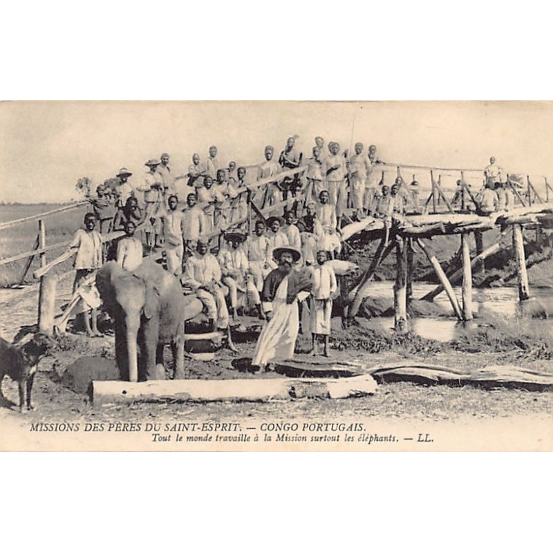 Rare collectable postcards of Angola. Vintage Postcards of Angola