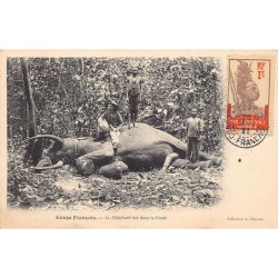 Rare collectable postcards of Congo - Brazzaville. Vintage Postcards of Congo - Brazzaville