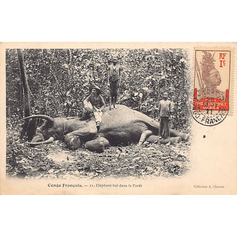 Rare collectable postcards of Congo - Brazzaville. Vintage Postcards of Congo - Brazzaville