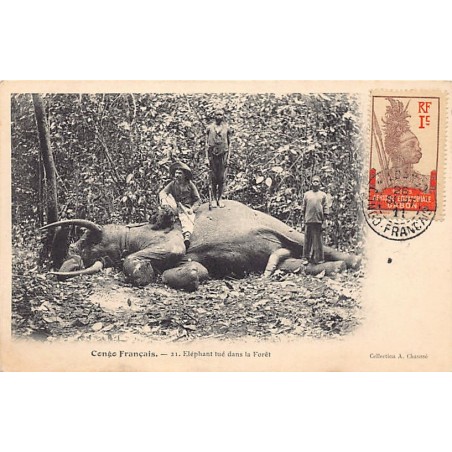 Rare collectable postcards of Congo - Brazzaville. Vintage Postcards of Congo - Brazzaville