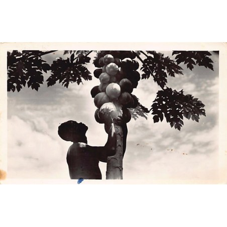 Rare collectable postcards of Ivory Coast - Côte d'Ivoire. Vintage Postcards of Ivory Coast - Côte d'Ivoire