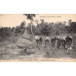 Rare collectable postcards of Ivory Coast - Côte d'Ivoire. Vintage Postcards of Ivory Coast - Côte d'Ivoire