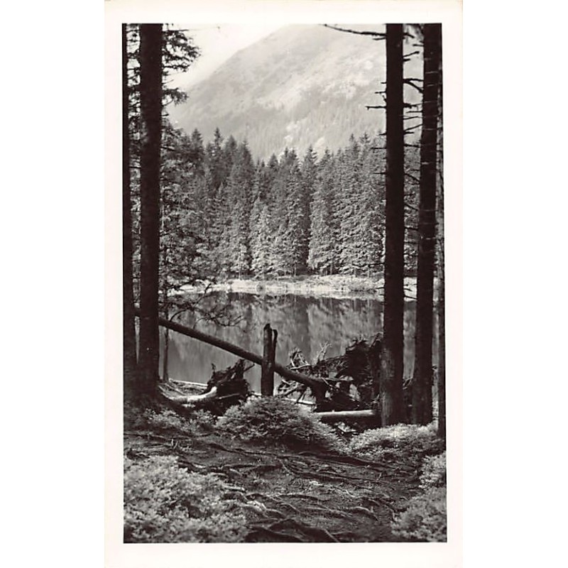 Rare collectable postcards of POLAND. Vintage Postcards of POLAND