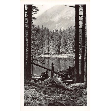 Rare collectable postcards of POLAND. Vintage Postcards of POLAND