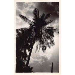 Rare collectable postcards of Ivory Coast - Côte d'Ivoire. Vintage Postcards of Ivory Coast - Côte d'Ivoire