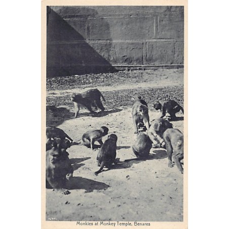 Rare collectable postcards of India. Vintage Postcards of India