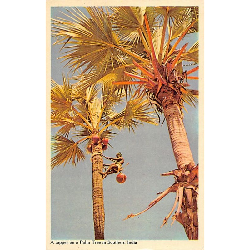 Rare collectable postcards of India. Vintage Postcards of India
