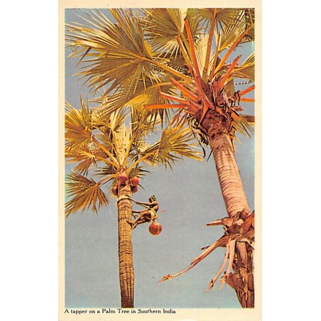 Rare collectable postcards of India. Vintage Postcards of India