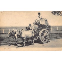 Rare collectable postcards of India. Vintage Postcards of India