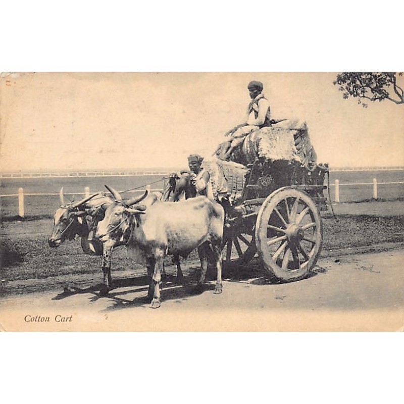 Rare collectable postcards of India. Vintage Postcards of India