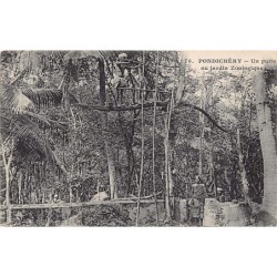 Rare collectable postcards of India. Vintage Postcards of India