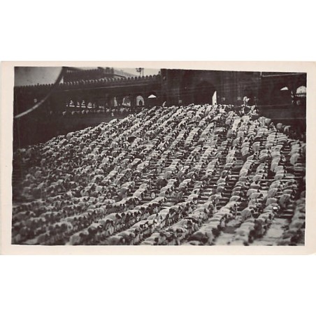 Rare collectable postcards of India. Vintage Postcards of India