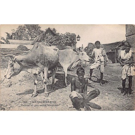 Rare collectable postcards of India. Vintage Postcards of India