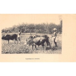 Rare collectable postcards of India. Vintage Postcards of India