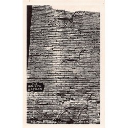 Rare collectable postcards of Iraq. Vintage Postcards of Iraq