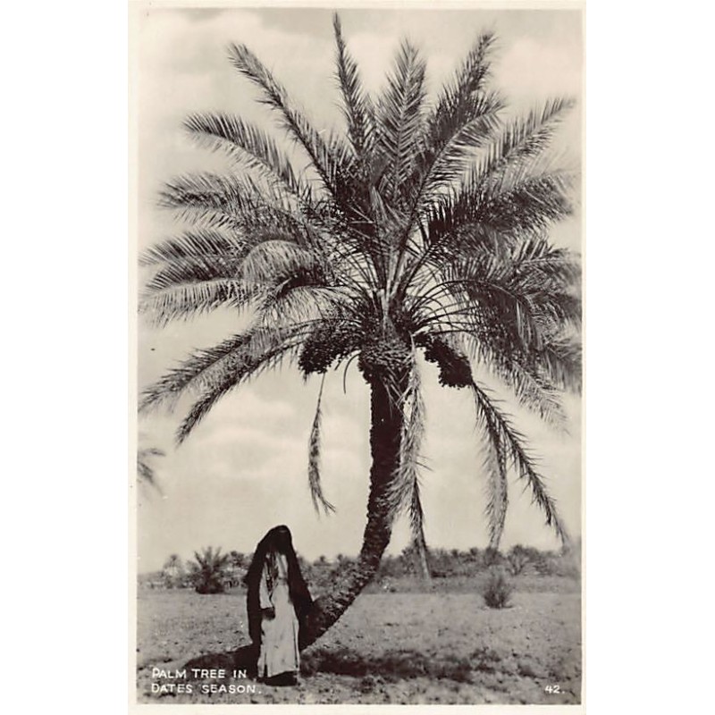 Rare collectable postcards of Iraq. Vintage Postcards of Iraq
