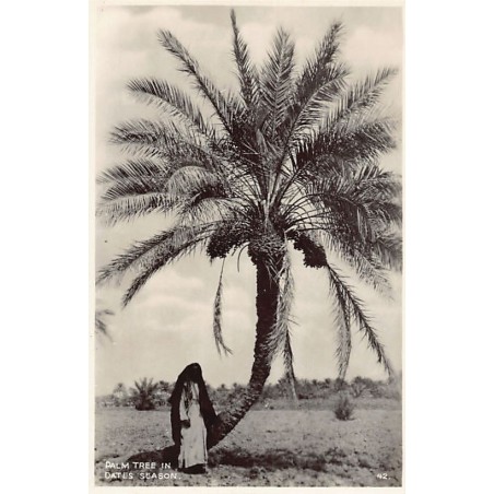 Rare collectable postcards of Iraq. Vintage Postcards of Iraq