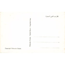 Rare collectable postcards of Iraq. Vintage Postcards of Iraq