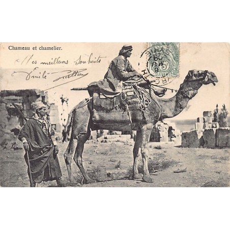 Rare collectable postcards of Lebanon. Vintage Postcards of Lebanon