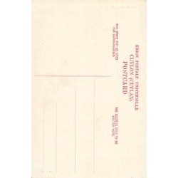 Rare collectable postcards of Sri Lanka (Ceylon). Vintage Postcards of Sri Lanka (Ceylon)