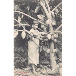 Rare collectable postcards of Sri Lanka (Ceylon). Vintage Postcards of Sri Lanka (Ceylon)