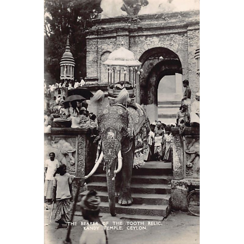 Rare collectable postcards of Sri Lanka (Ceylon). Vintage Postcards of Sri Lanka (Ceylon)