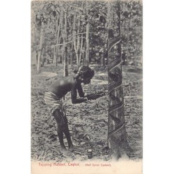 Rare collectable postcards of Sri Lanka (Ceylon). Vintage Postcards of Sri Lanka (Ceylon)