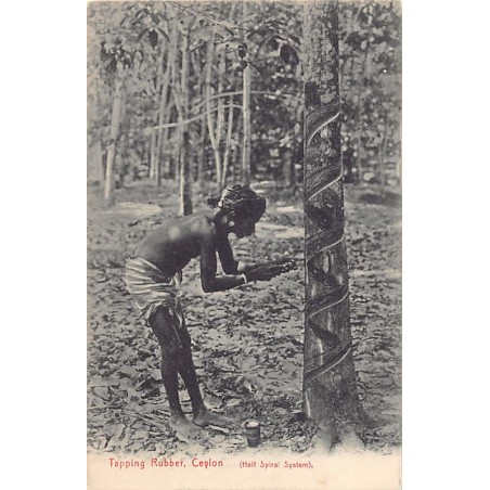 Rare collectable postcards of Sri Lanka (Ceylon). Vintage Postcards of Sri Lanka (Ceylon)