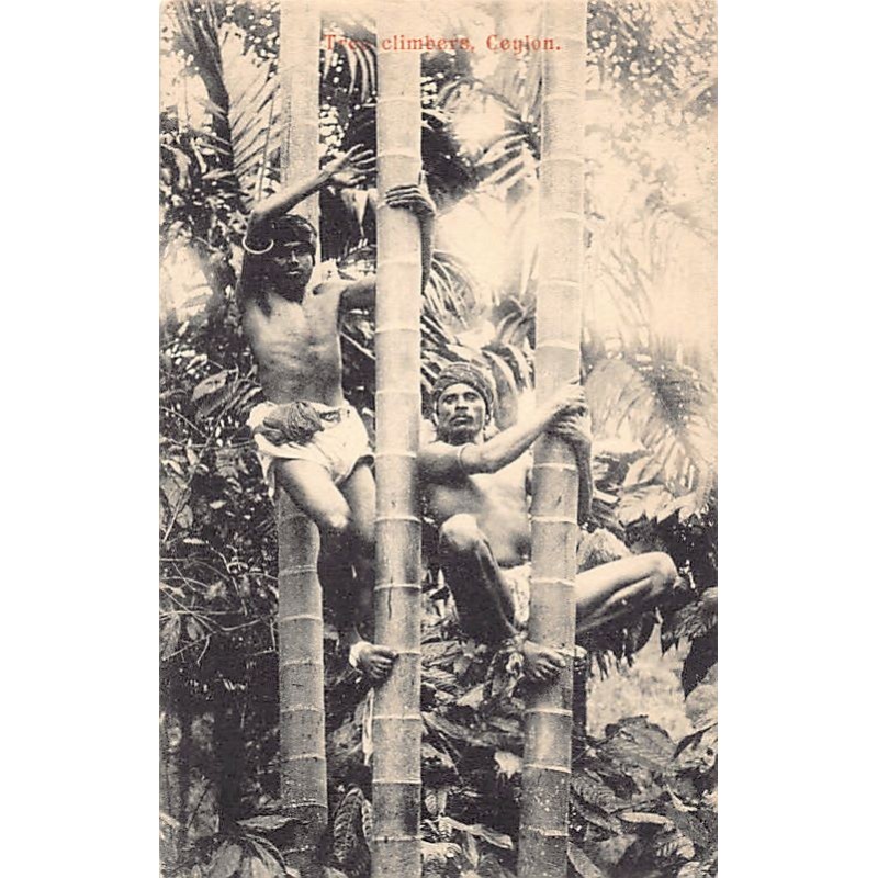 Rare collectable postcards of Sri Lanka (Ceylon). Vintage Postcards of Sri Lanka (Ceylon)