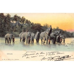 Rare collectable postcards of Sri Lanka (Ceylon). Vintage Postcards of Sri Lanka (Ceylon)