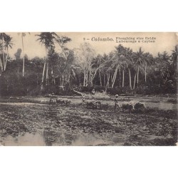 Rare collectable postcards of Sri Lanka (Ceylon). Vintage Postcards of Sri Lanka (Ceylon)
