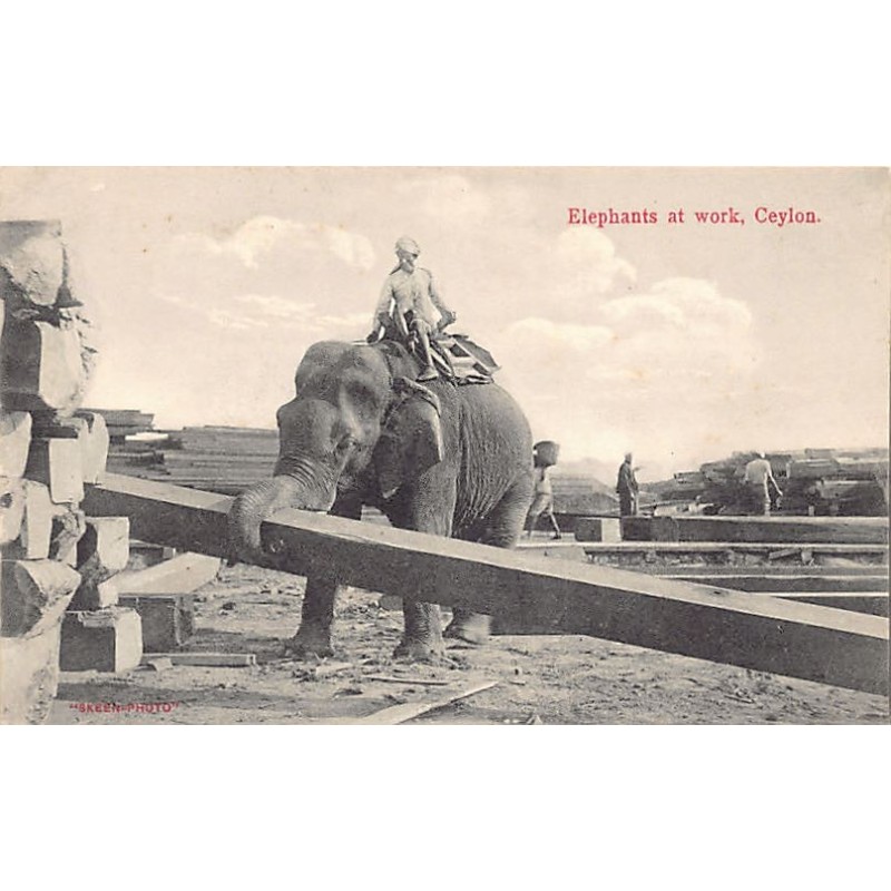 Rare collectable postcards of Sri Lanka (Ceylon). Vintage Postcards of Sri Lanka (Ceylon)