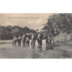 Rare collectable postcards of Sri Lanka (Ceylon). Vintage Postcards of Sri Lanka (Ceylon)