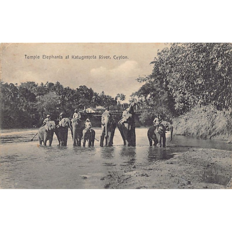 Rare collectable postcards of Sri Lanka (Ceylon). Vintage Postcards of Sri Lanka (Ceylon)