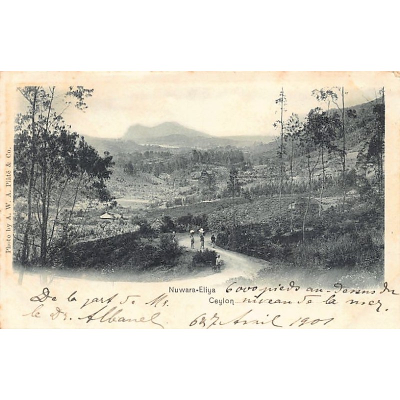 Rare collectable postcards of Sri Lanka (Ceylon). Vintage Postcards of Sri Lanka (Ceylon)