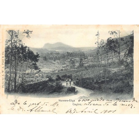 Rare collectable postcards of Sri Lanka (Ceylon). Vintage Postcards of Sri Lanka (Ceylon)