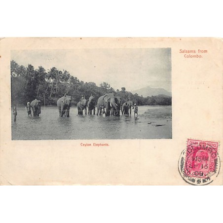 Rare collectable postcards of Sri Lanka (Ceylon). Vintage Postcards of Sri Lanka (Ceylon)