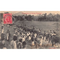 Rare collectable postcards of Sri Lanka (Ceylon). Vintage Postcards of Sri Lanka (Ceylon)