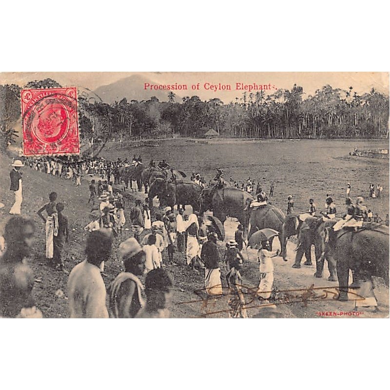 Rare collectable postcards of Sri Lanka (Ceylon). Vintage Postcards of Sri Lanka (Ceylon)