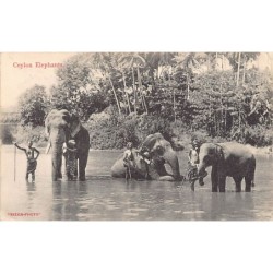 Rare collectable postcards of Sri Lanka (Ceylon). Vintage Postcards of Sri Lanka (Ceylon)