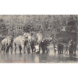 Rare collectable postcards of Sri Lanka (Ceylon). Vintage Postcards of Sri Lanka (Ceylon)