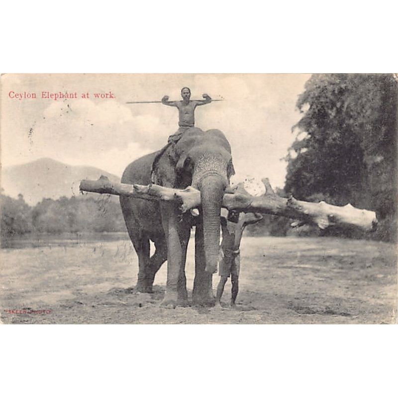 Rare collectable postcards of Sri Lanka (Ceylon). Vintage Postcards of Sri Lanka (Ceylon)