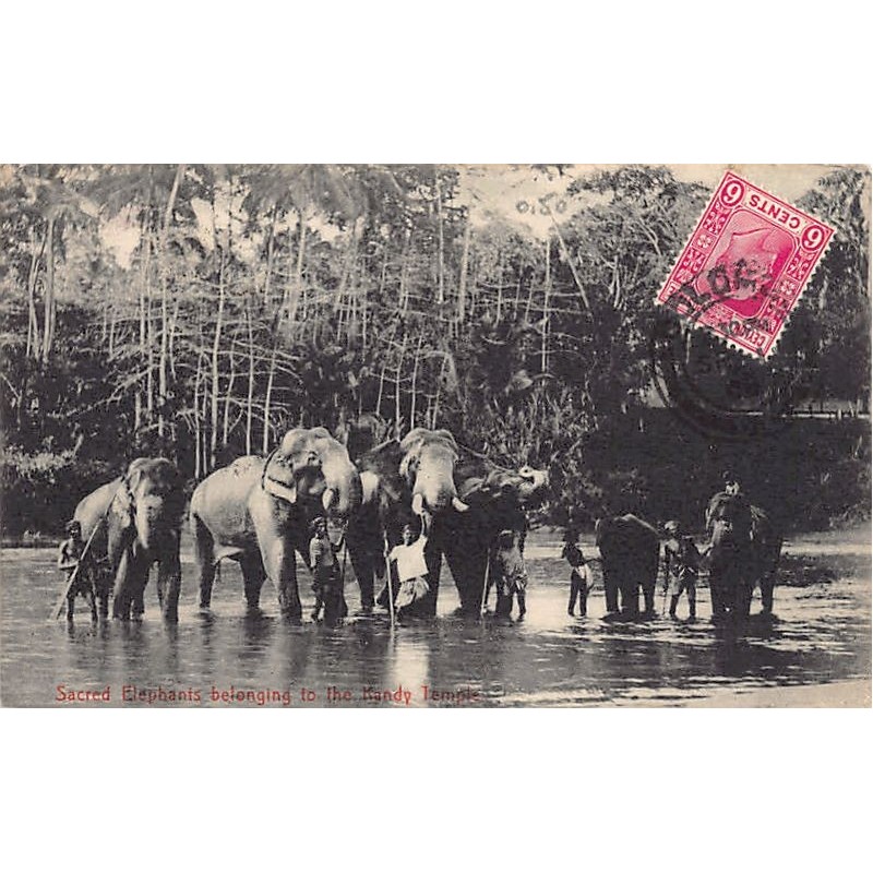 Rare collectable postcards of Sri Lanka (Ceylon). Vintage Postcards of Sri Lanka (Ceylon)