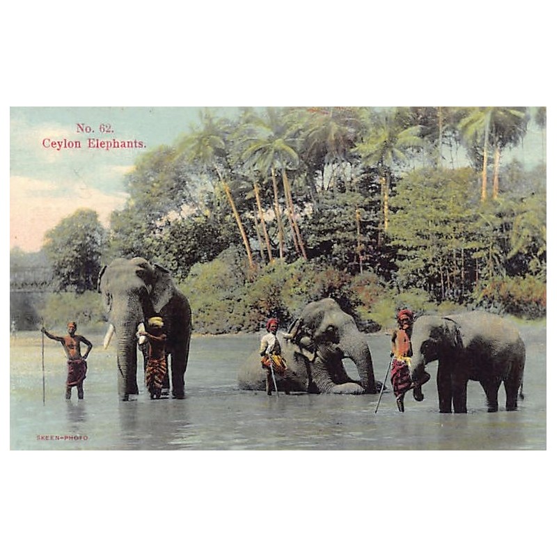 Rare collectable postcards of Sri Lanka (Ceylon). Vintage Postcards of Sri Lanka (Ceylon)